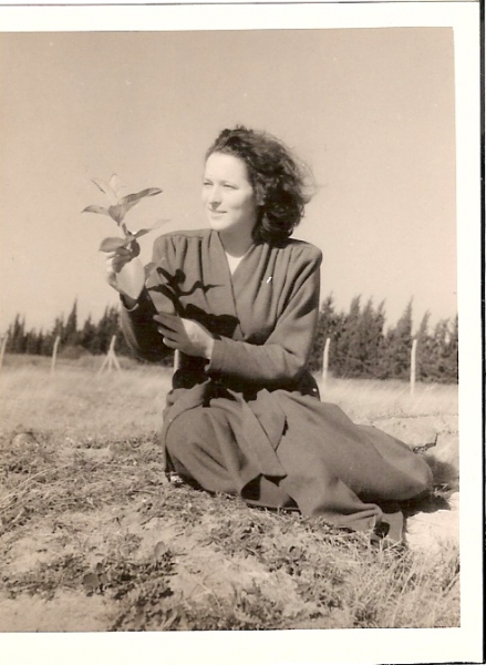 1952-0004